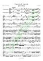 Concerto di Marcello, BWV 974 - J.S. Bach